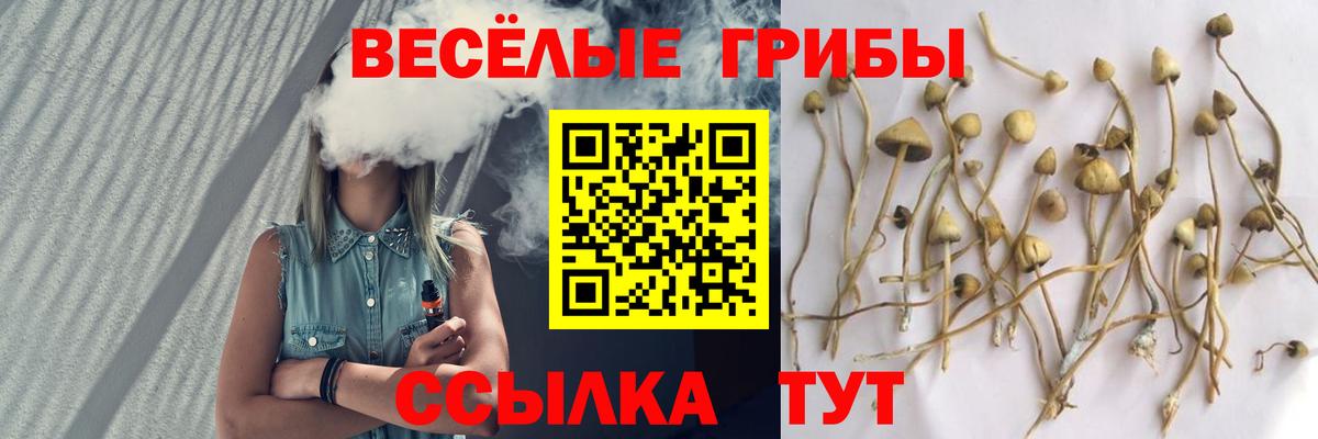 Галлюциногенные грибы Cubensis  Вход с VPN  Балаково  Галлюциногенные грибы GOLDEN TEACHER 